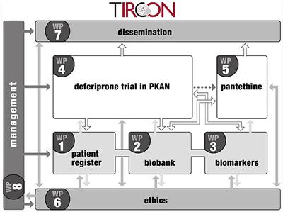 Treat Iron-Related Childhood-Onset Neurodegeneration (TIRCON)—An International Network on Care and Research for Patients With Neurodegeneration With Brain Iron Accumulation (NBIA)